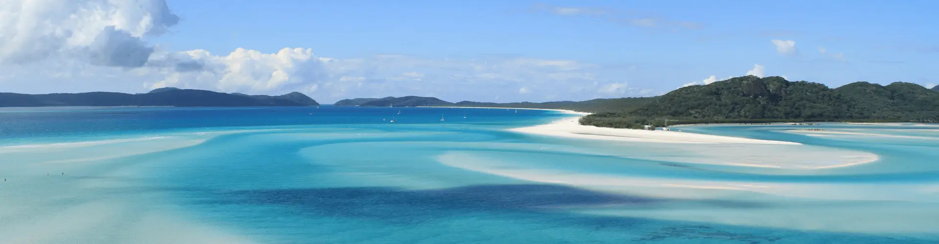 Banner image WeDiscover