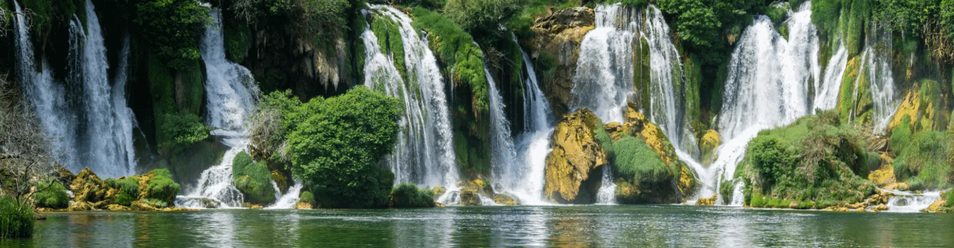 Banner image WeDiscover