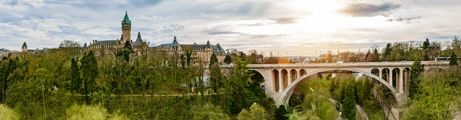 Banner image WeDiscover