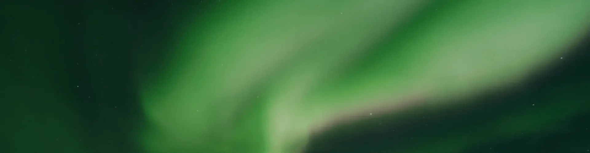 Banner image WeDiscover