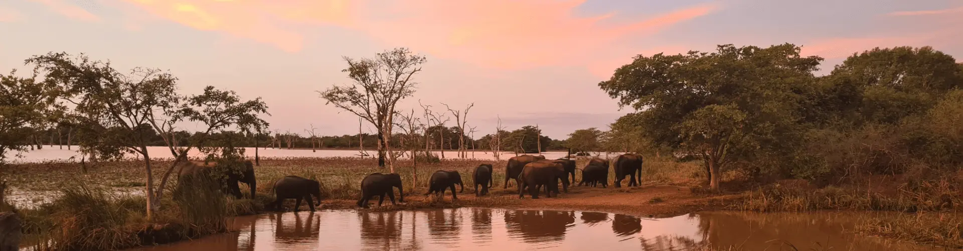 Banner image WeDiscover