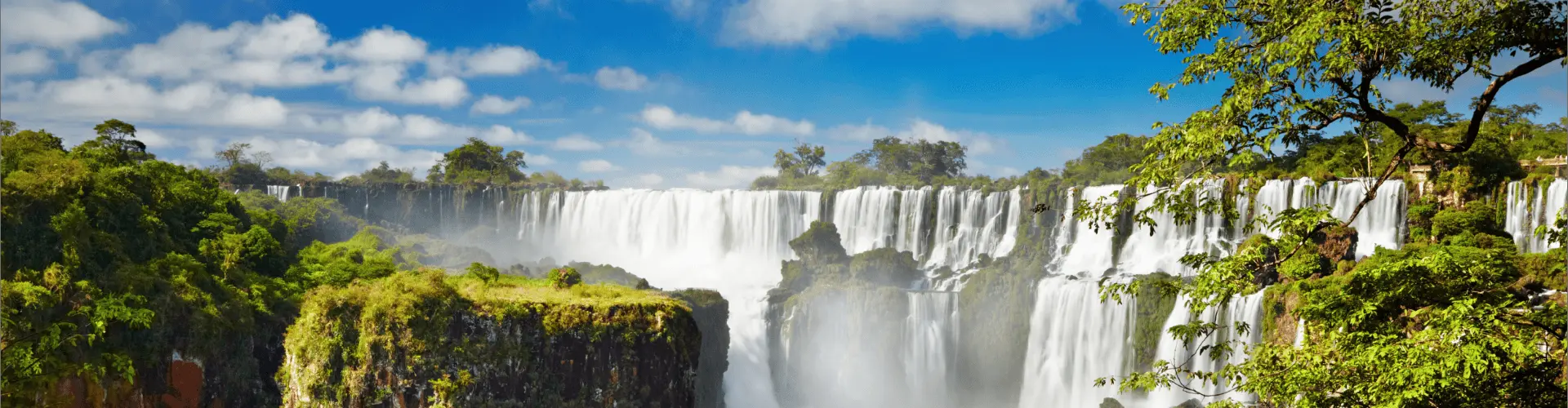 Banner image WeDiscover