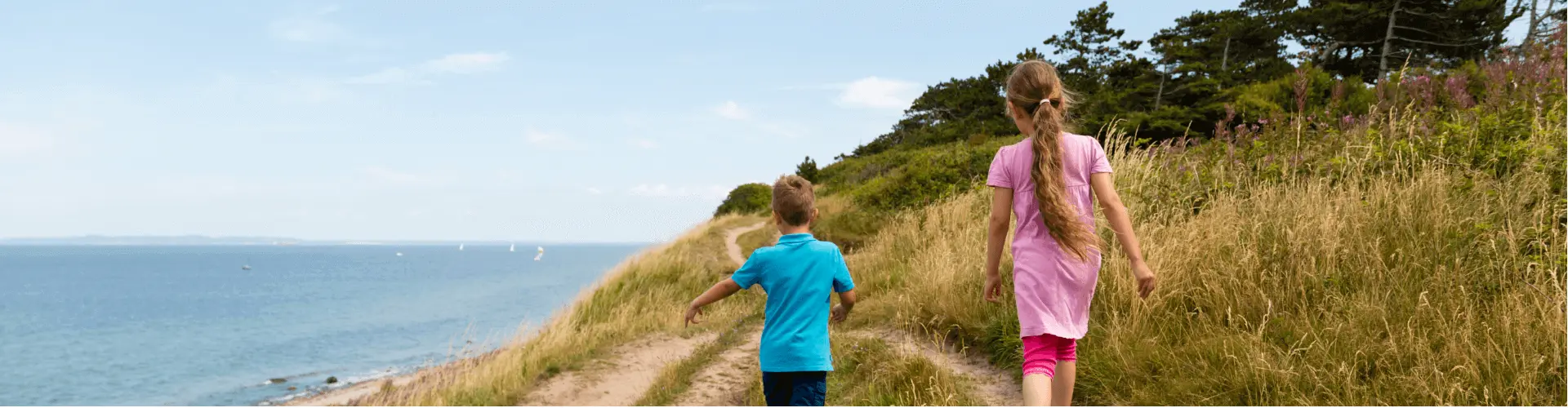 Banner image WeDiscover