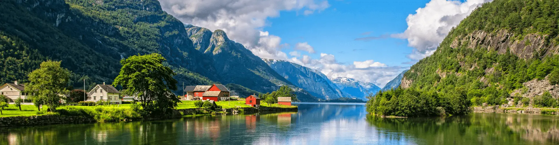 Banner image WeDiscover