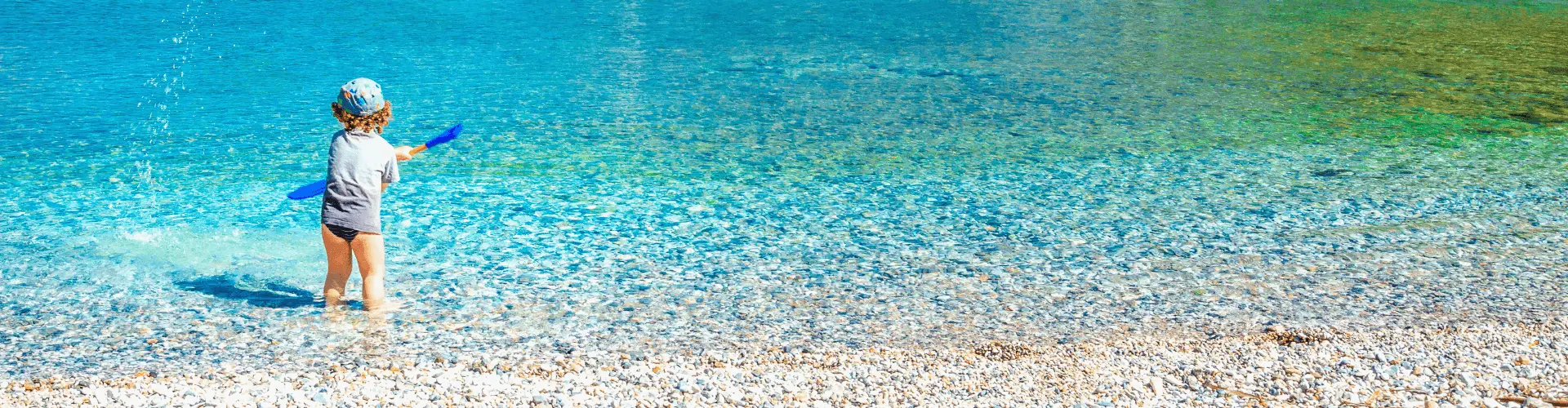 Banner image WeDiscover