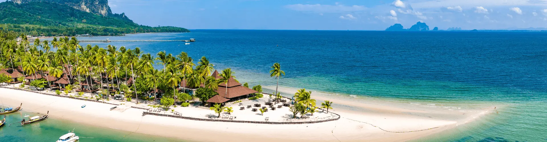 Banner image WeDiscover