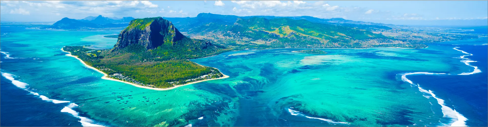 Banner image WeDiscover