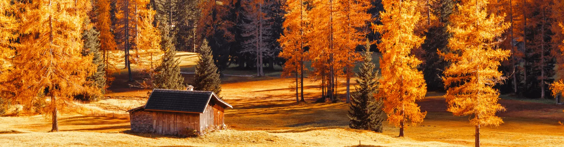 Banner image WeDiscover