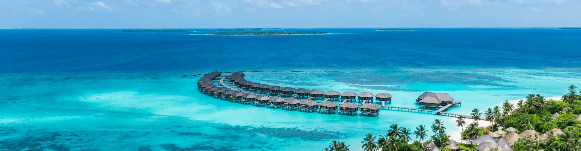 Banner image WeDiscover