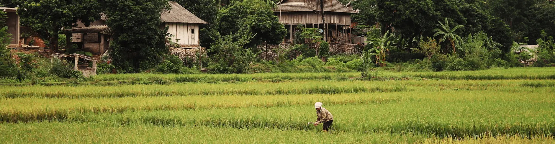 Banner image WeDiscover