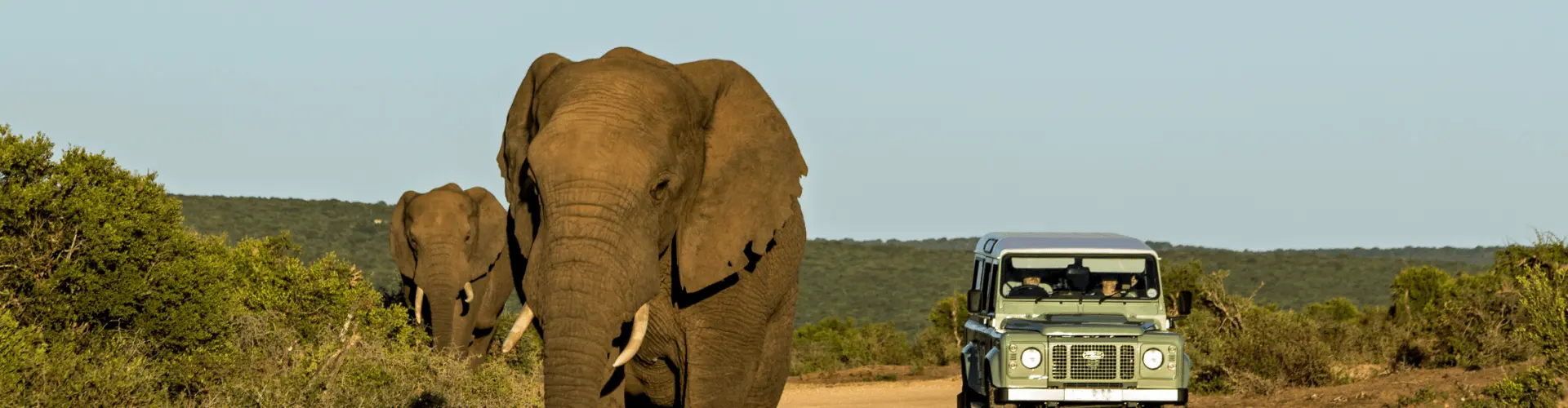 Banner image WeDiscover