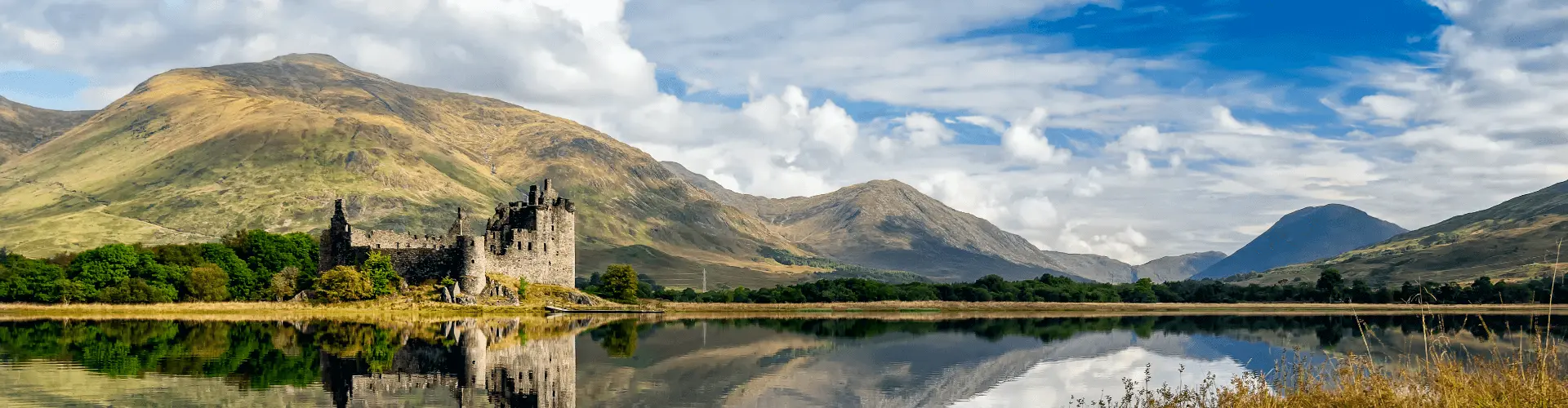 Banner image WeDiscover