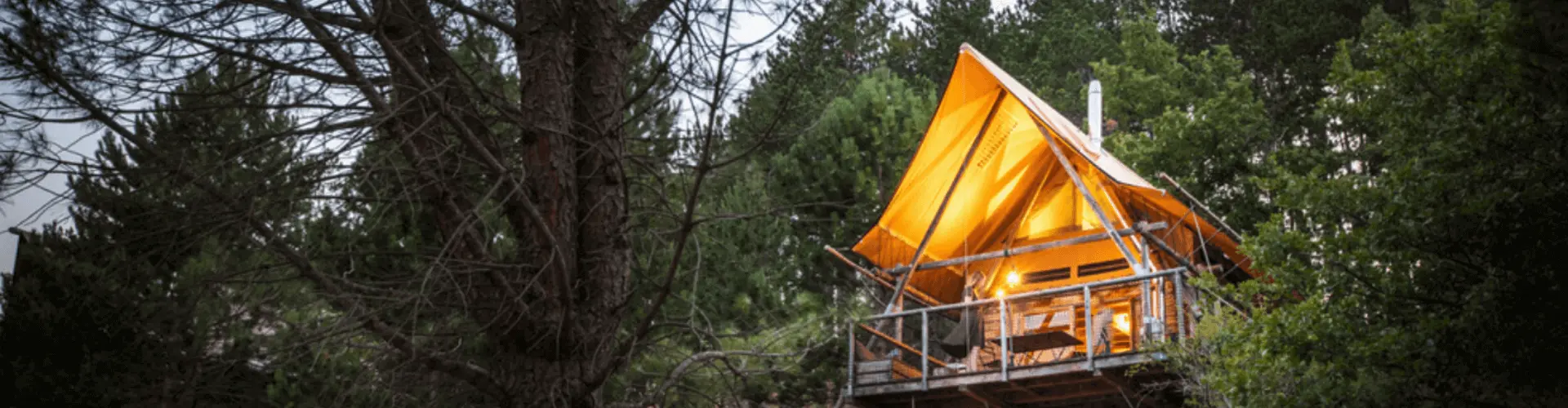 Banner image WeDiscover