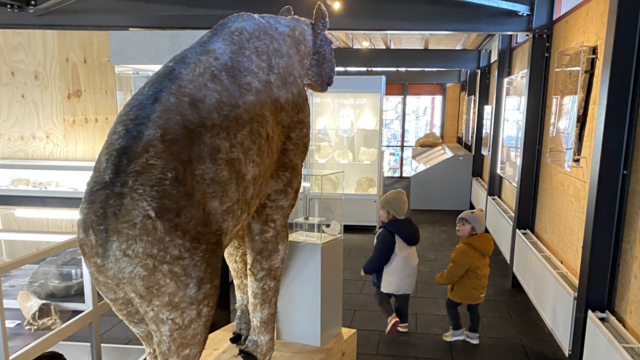 Oertijdmuseum-Boxtel-Dinobos-1
