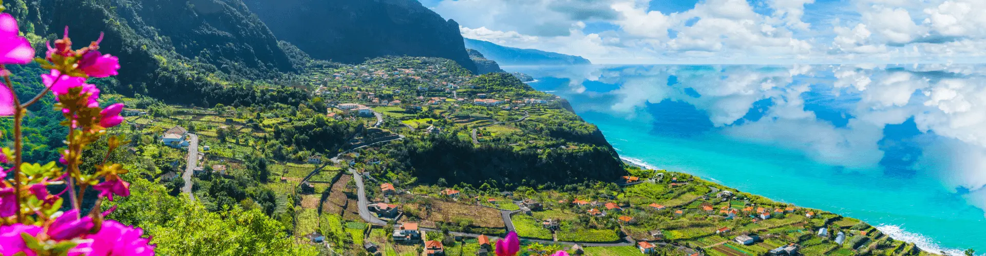 Banner image WeDiscover