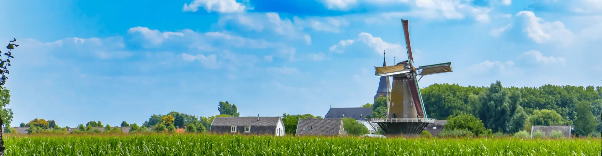 Banner image WeDiscover